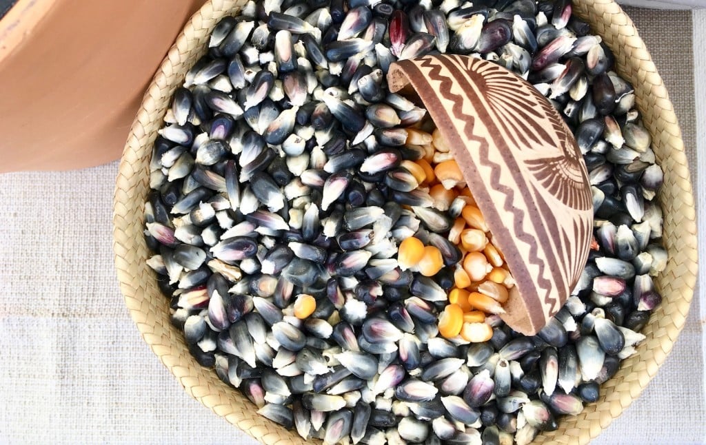 Masa Corn