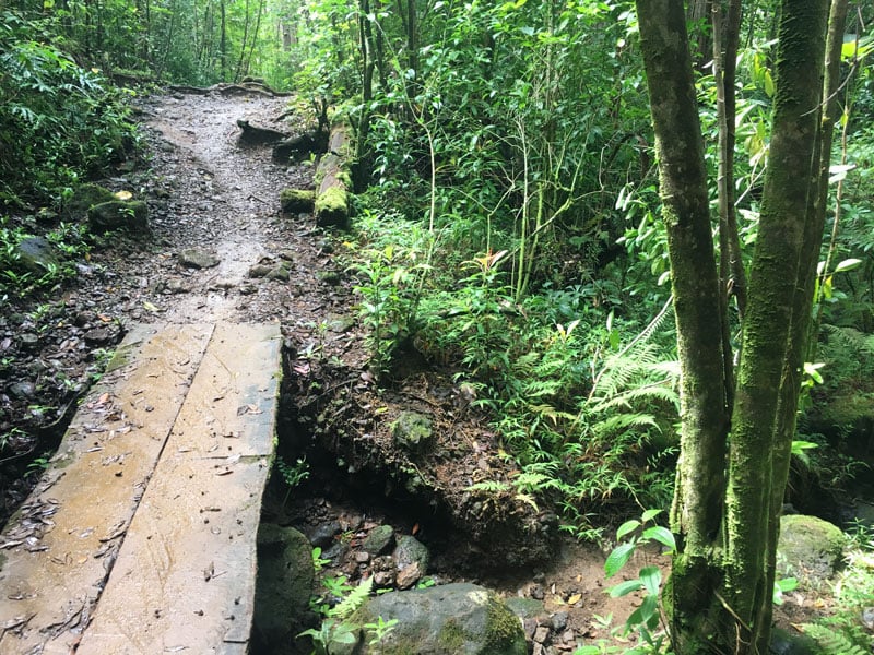 Oahu Hike Puu Pia Muddy
