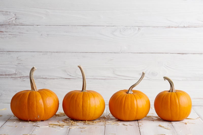 Stylelist Pumpkin Scrub