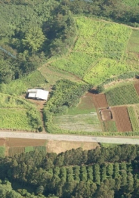 Mahiai2014