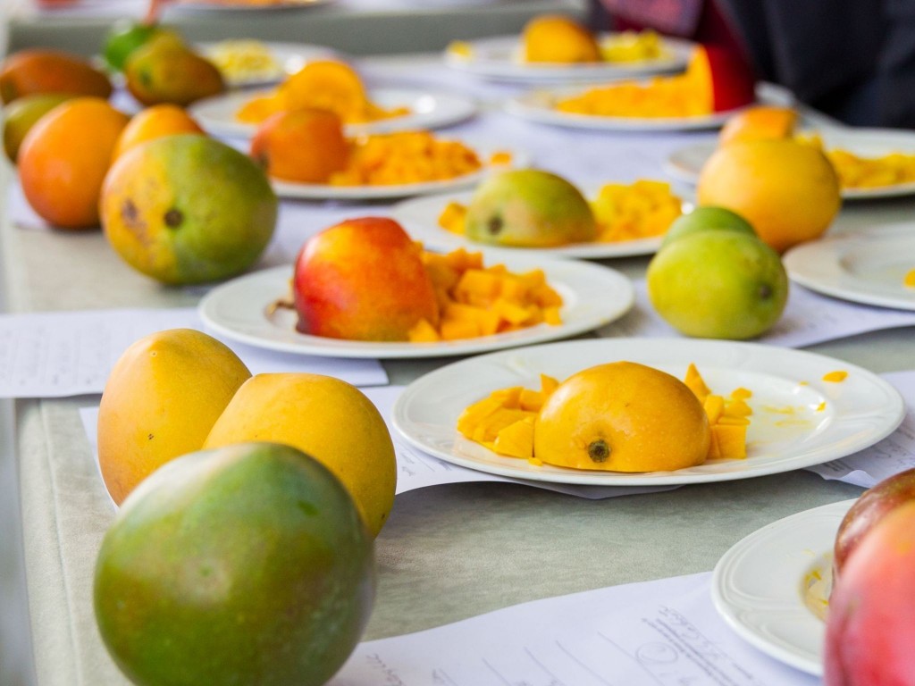 Mangoes 59.1