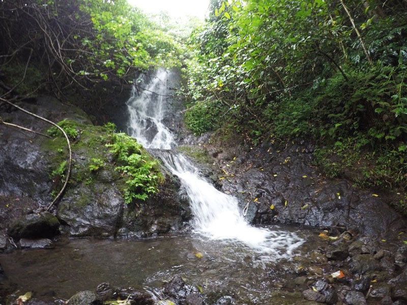 Hike Of The Month Likeke Falls Waterfall