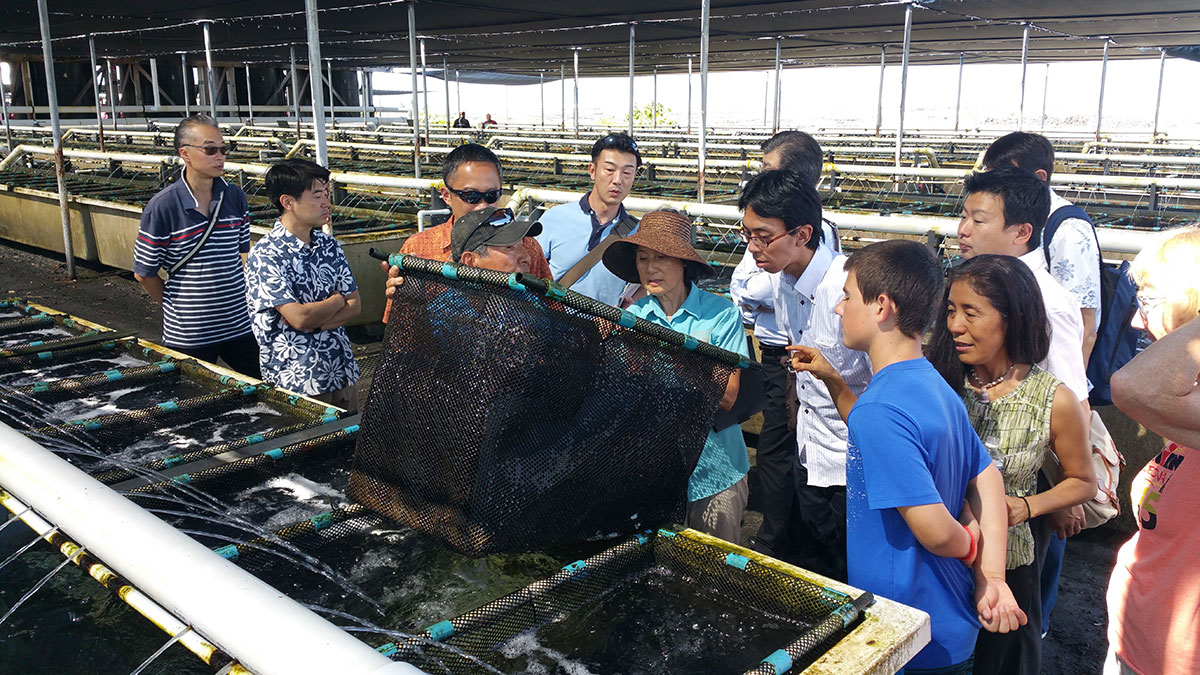 Hawai‘i’s first Aquaculture Accelerator Gets Going in August