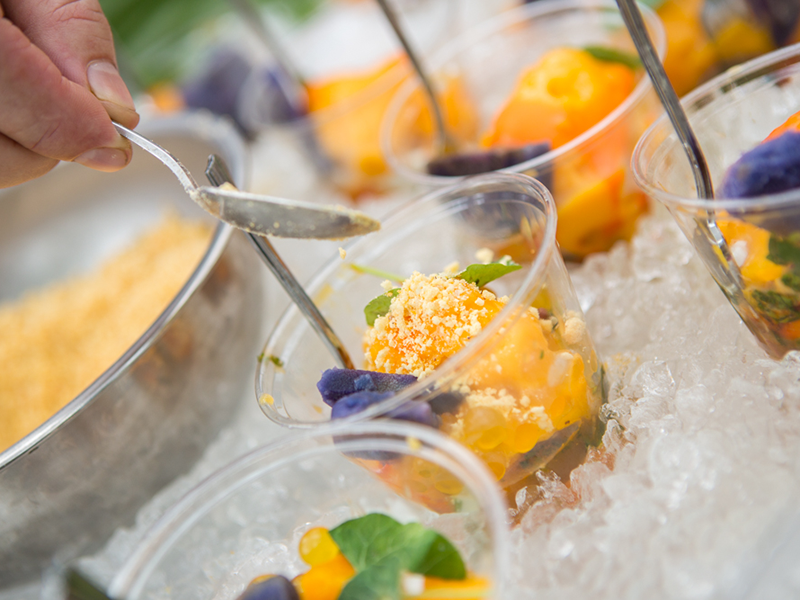 Mangoes Splash Food