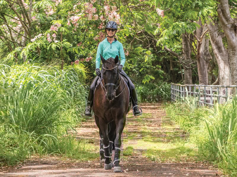 Best Of Services Horseback Riding