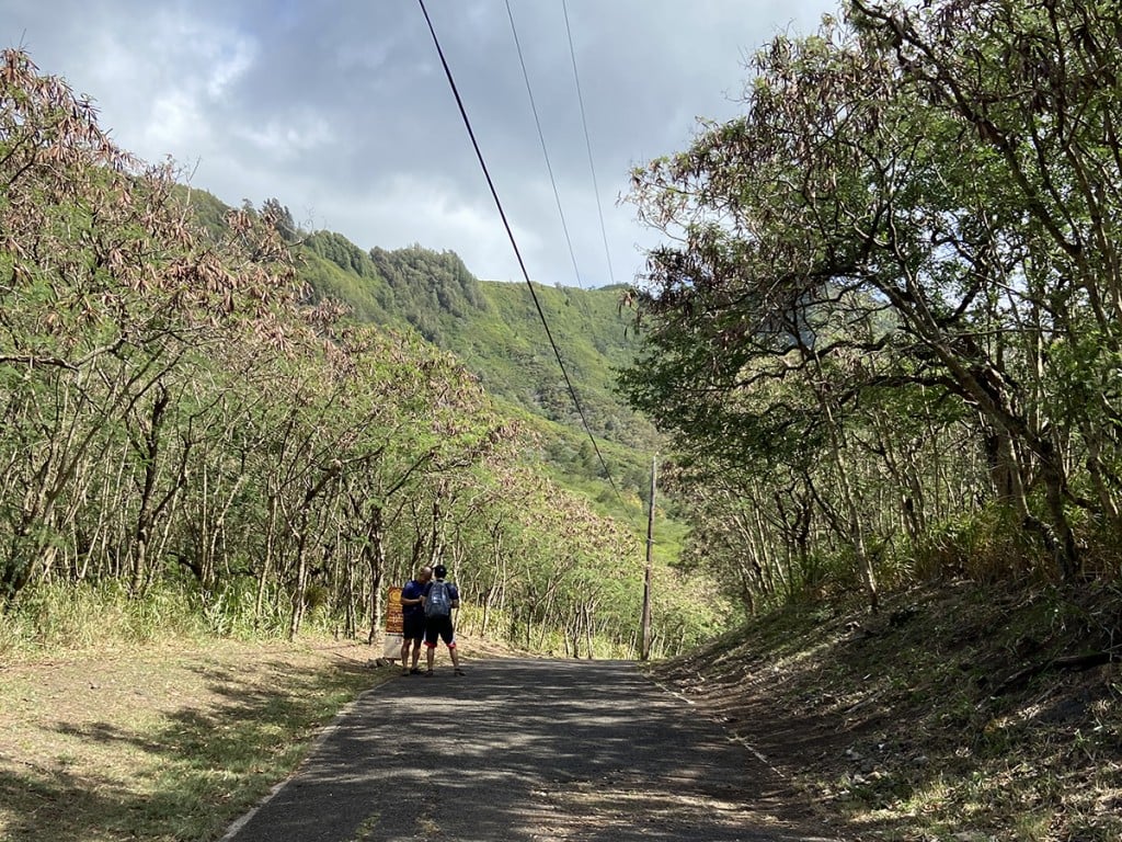 Oahu Hike We Like Kuliouou Valley Trail Cover
