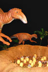 Maiasaurus