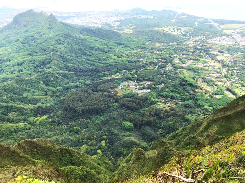 Oahu Hike Wiliwilinui Ridge View