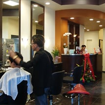 Wsalonth