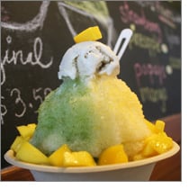 Hopa.shave.ice.nl
