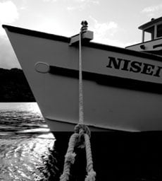 Nisei003 1