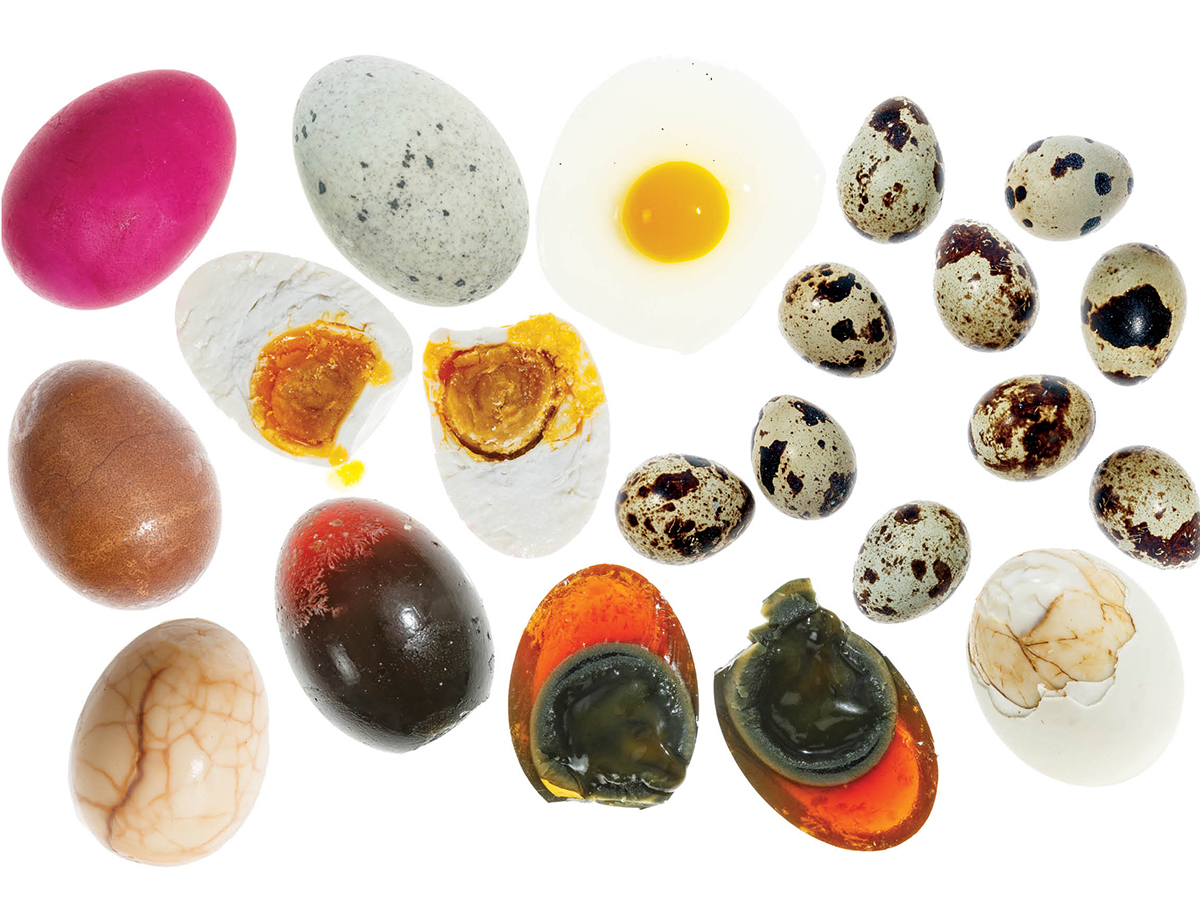 How Do You Like Your Eggs Fertilized - It's faded in color, and not ...