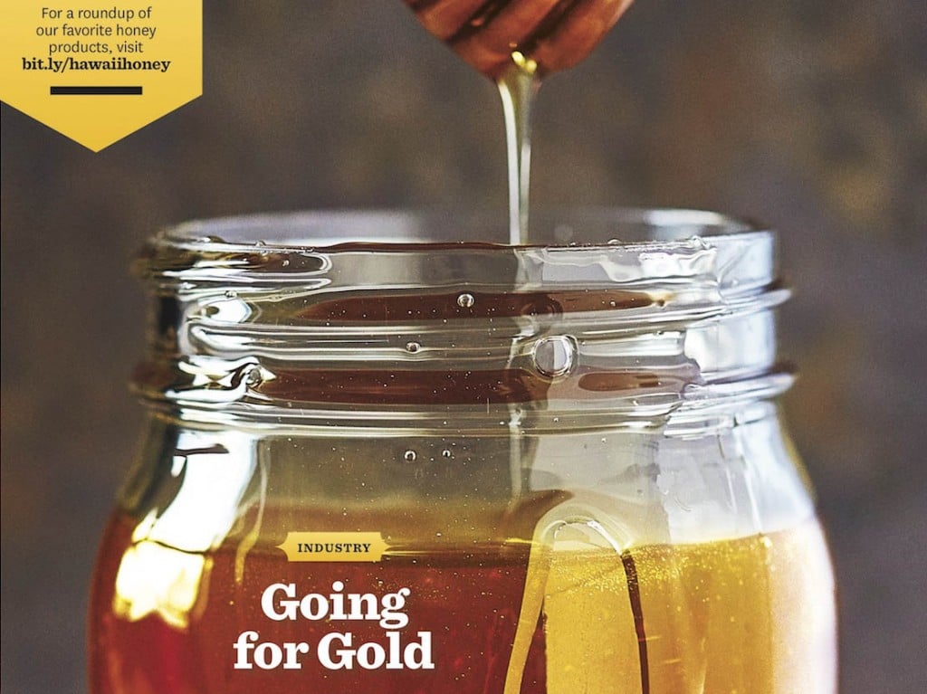 Going For Gold Cover