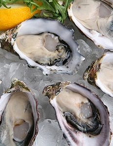 Oystersvert