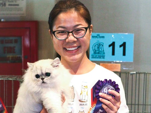 Field Notes Cat Show Award Winner Preview