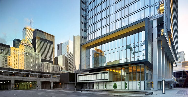 25 York Menkes P05