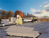 98x76roofboards
