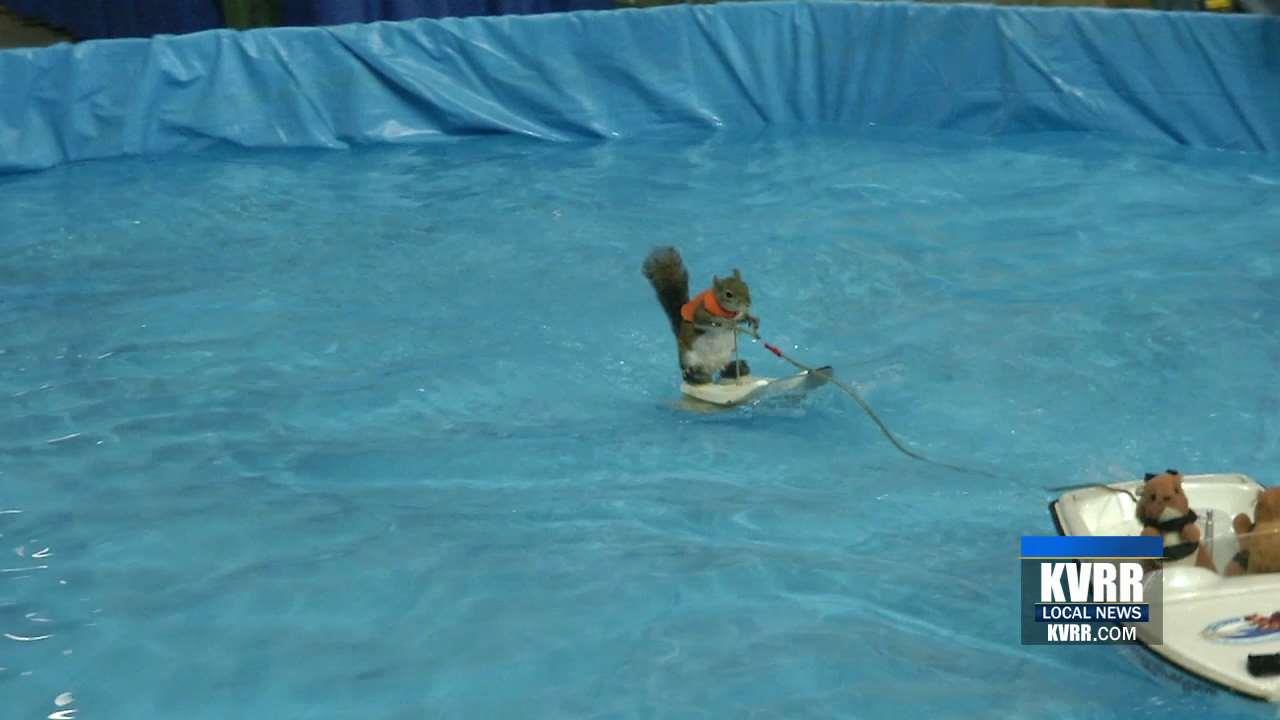 Red River Valley Sportsmen's Show Returns to the Fargodome