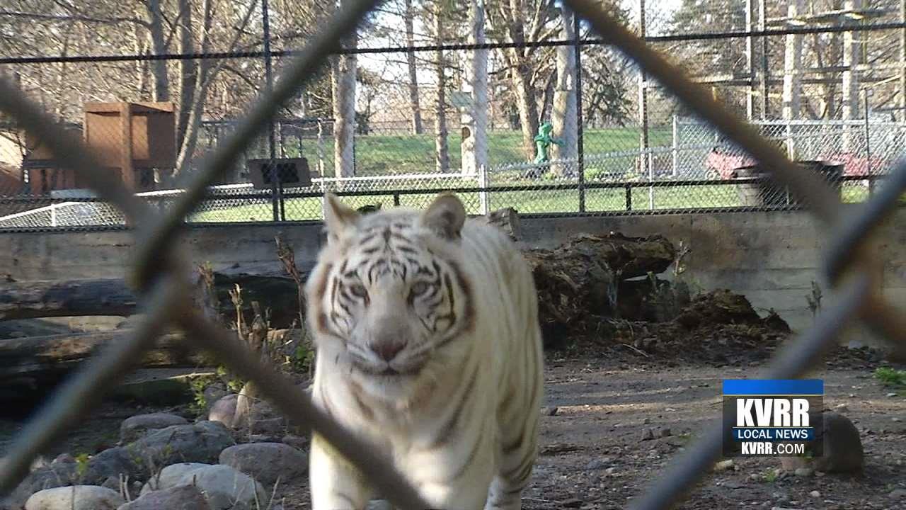 Chahinkapa Zoo Open For the Season KVRR Local News