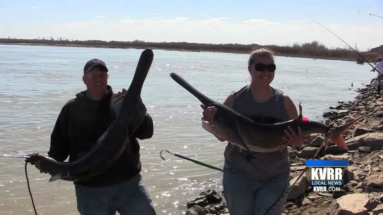 Paddlefish Fishing Seasons Kicks Off..But How Long Will it Last? KVRR