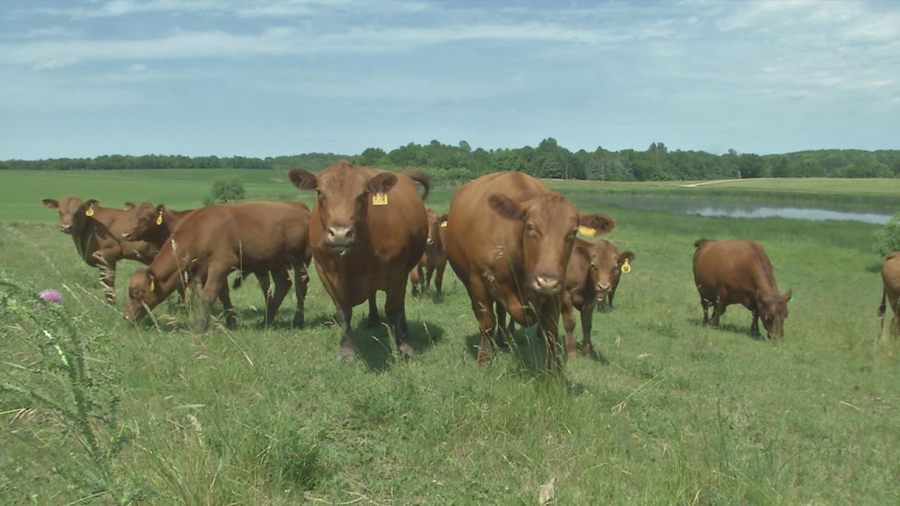 North Dakota Expanding Hay Donation Lottery KVRR Local News