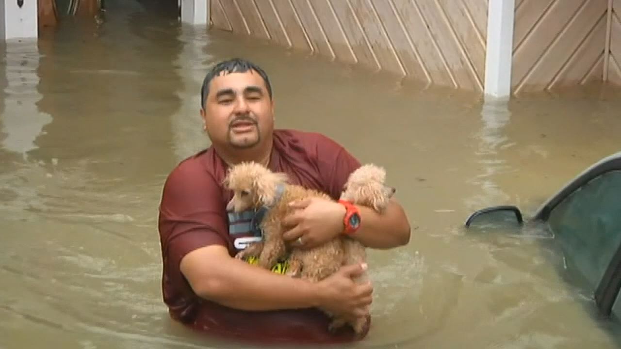 Jamestown Animal Shelter Taking in Animals from Louisiana KVRR Local News