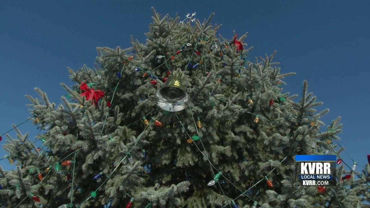 Getting Rid of Your Live Christmas Tree? Here's What You Can Do With It KVRR Local News