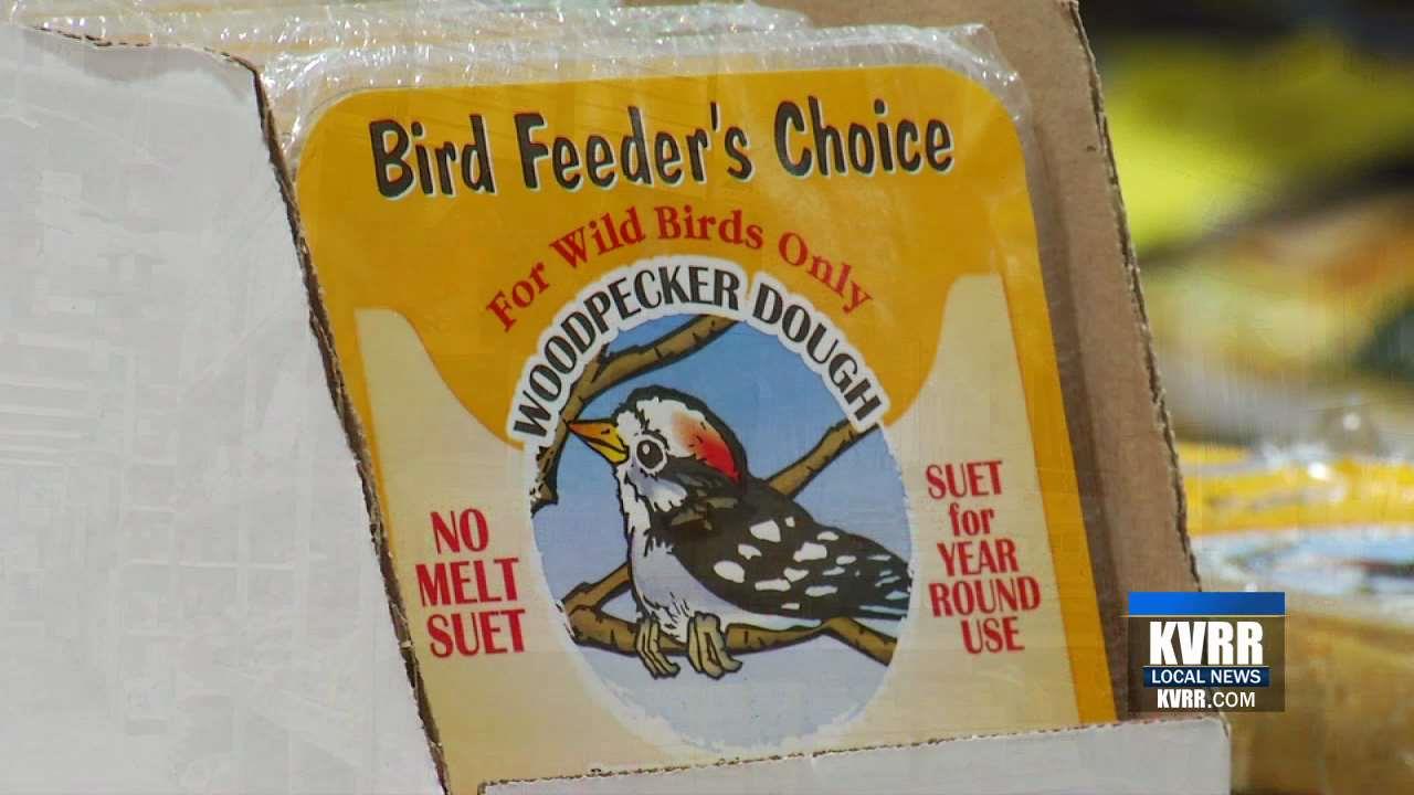 Consistency is Key to Maintain a Backyard Full of Wild Birds Through Winter
