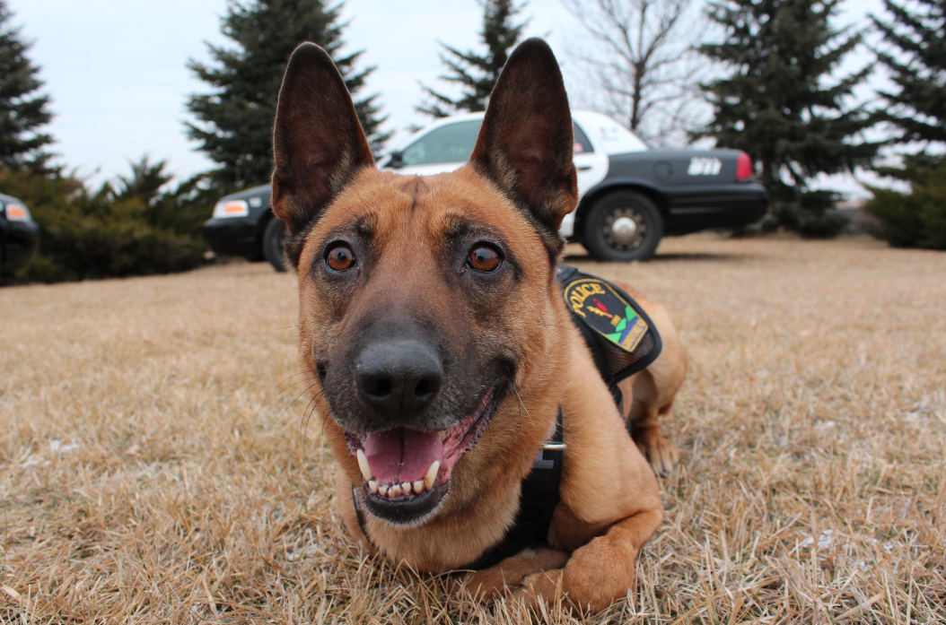 End of Watch For K9 Reno - KVRR Local News