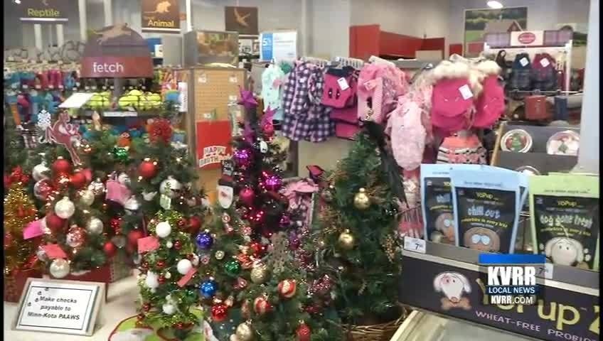 Minn-Kota PAAWS Has the Perfect Christmas Trees - KVRR Local News