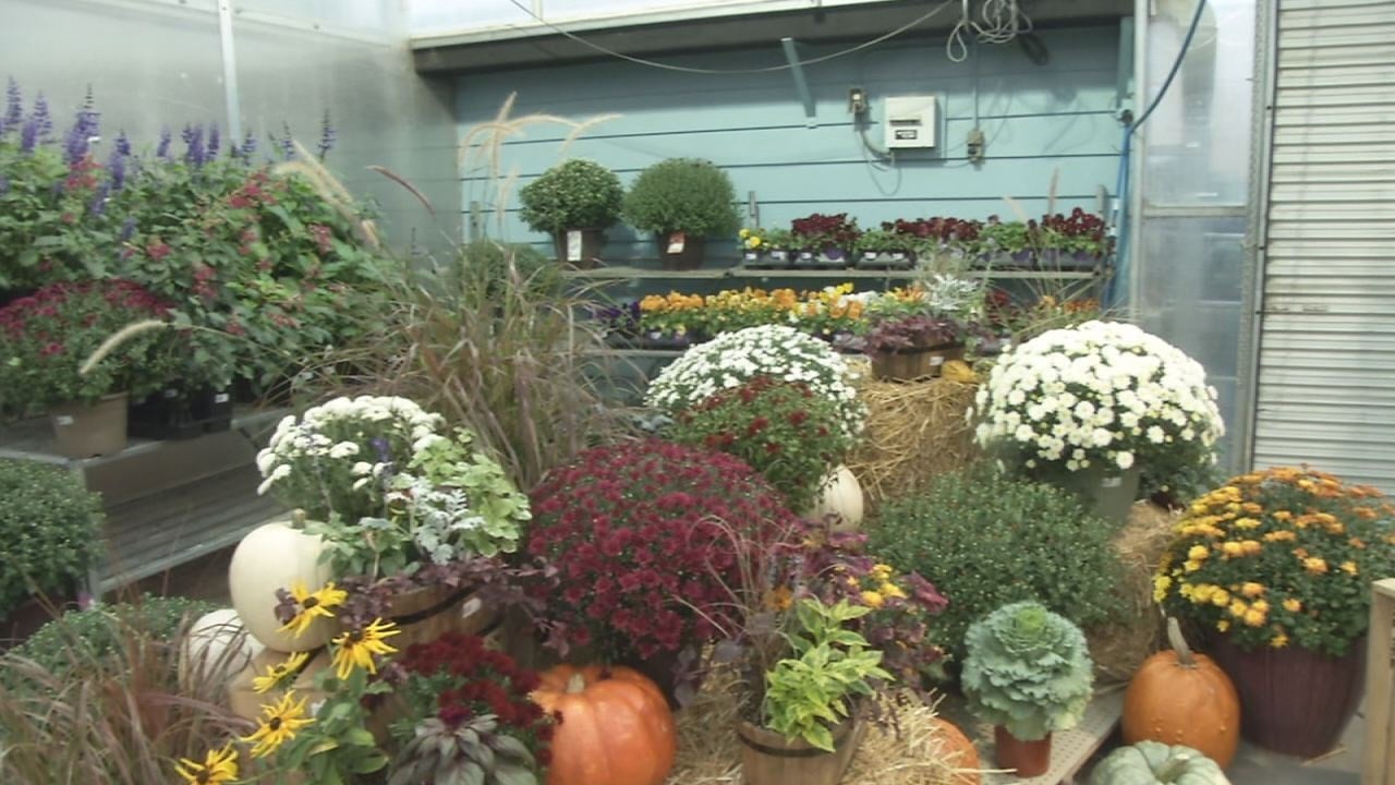 Baker Garden & Gift Gets Festive for the Fall Season KVRR Local News