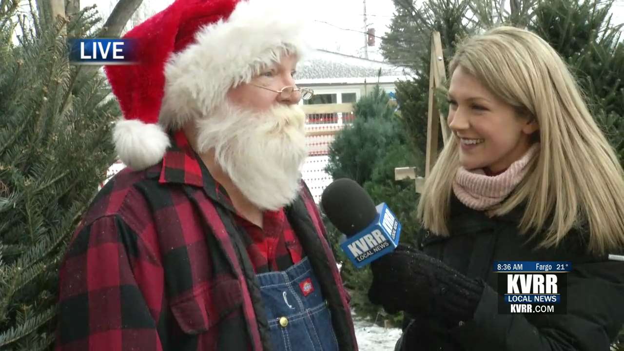 LIVE Local Boy Scouts Spread Holiday Spirit with Christmas Tree Sale
