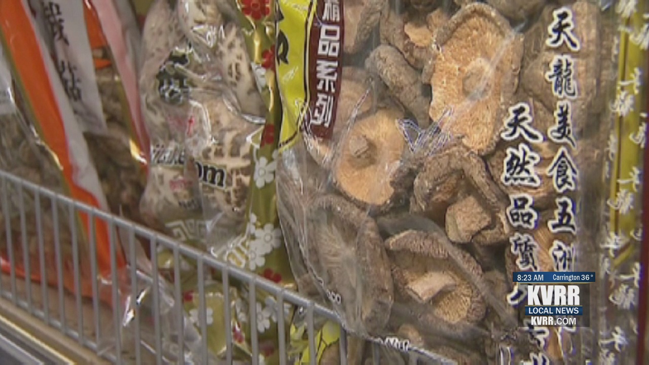 LIVE: A Silent Killer Lurking in Your Yard - KVRR Local News