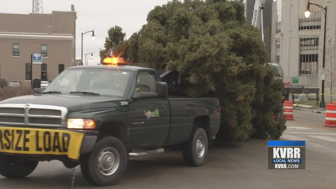 Holiday tree arrives in Downtown Fargo KVRR Local News
