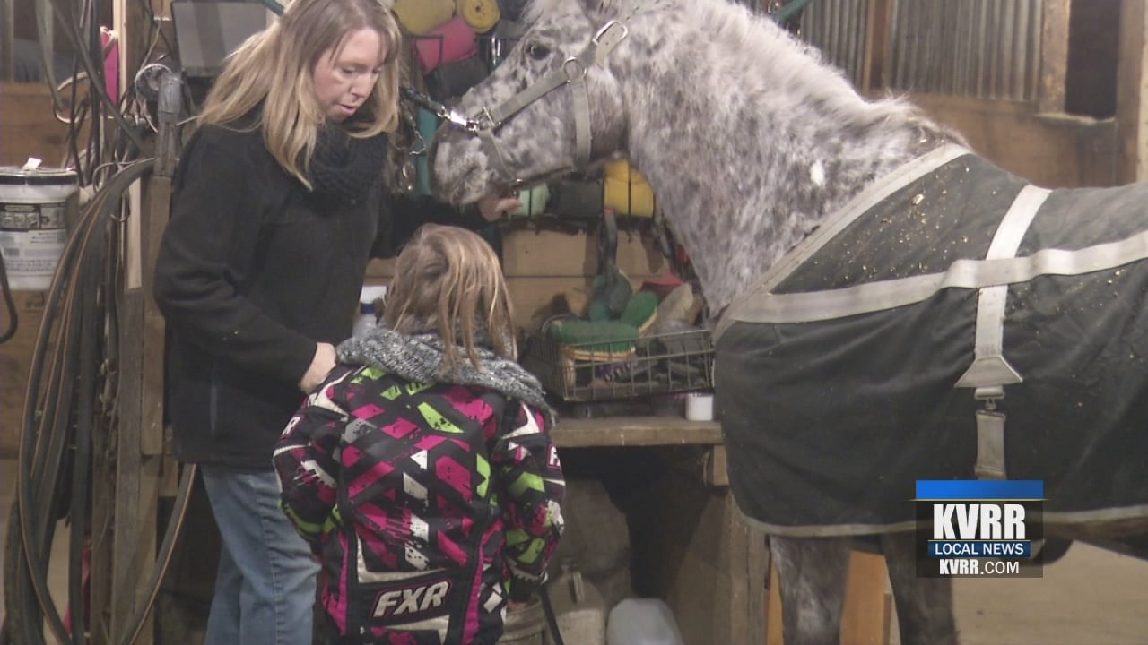 Wolverton's Hoof Beats For Healing mends through equine therapy KVRR