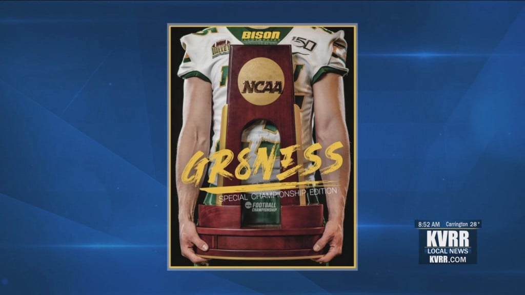Bison Illustrated