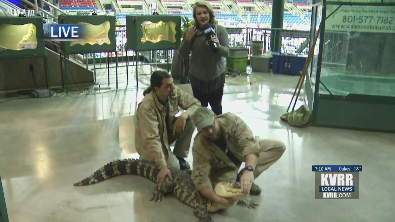 LIVE Red River Valley Sportsmen's Show KVRR Local News