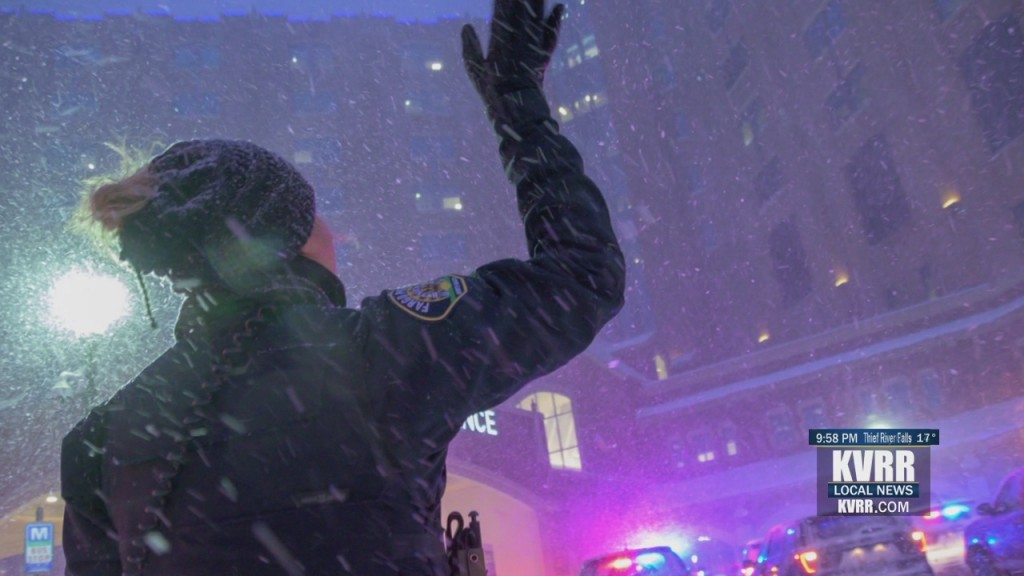 Lights Parade
