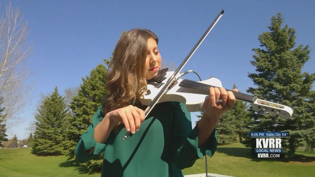 Lss Violin