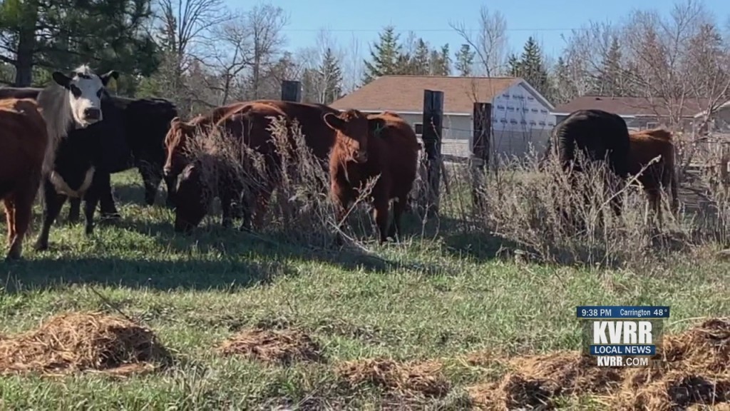 Virtual Farm