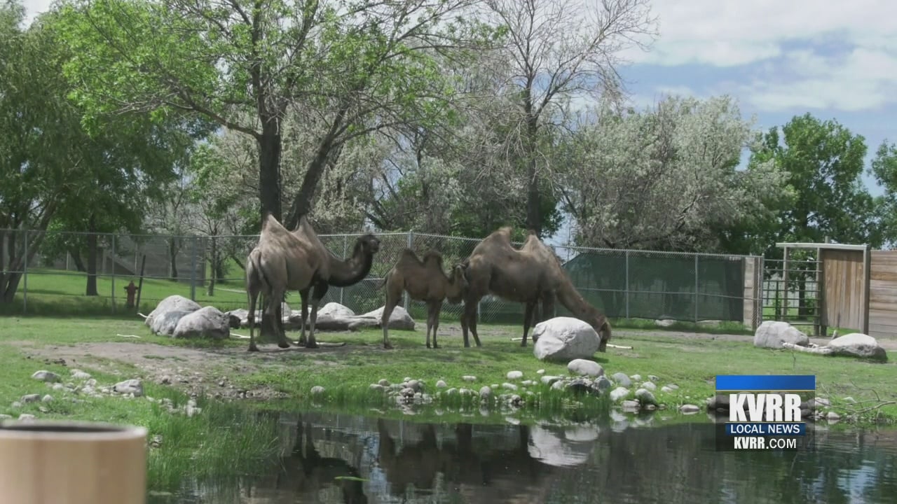 Ecards Red River Zoo