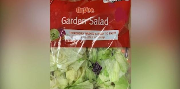 Salad