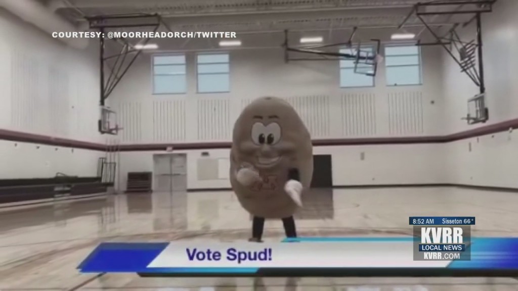 Spuds