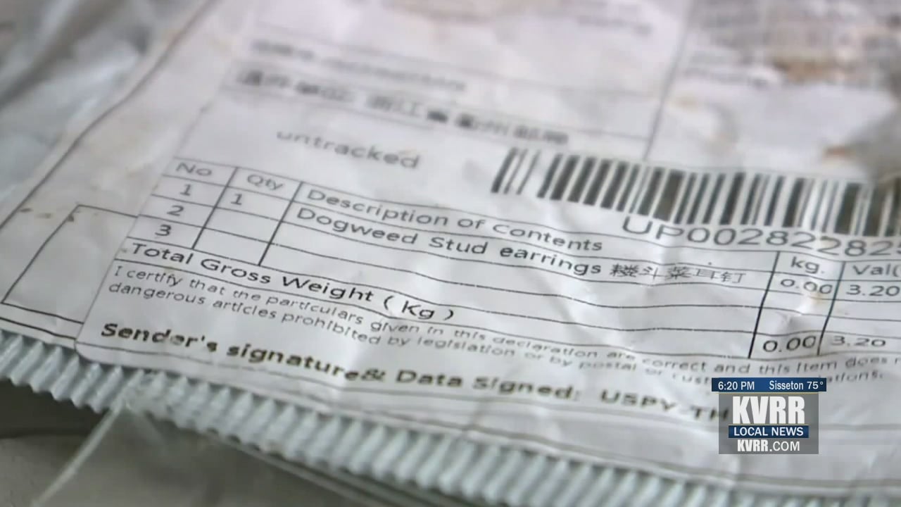 What to do if you receive seeds you didn't buy in the mail KVRR Local