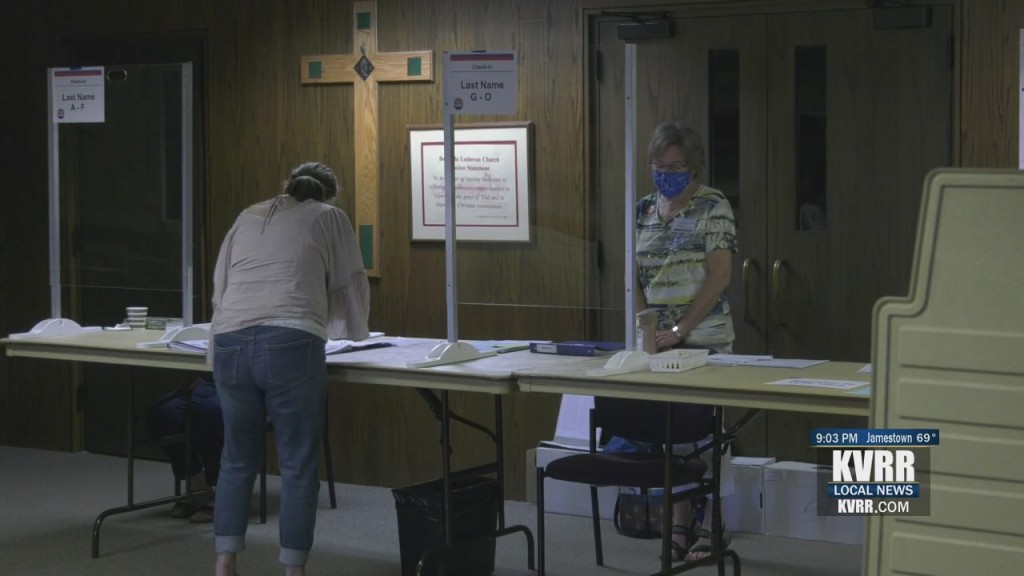 Minnesota Primary