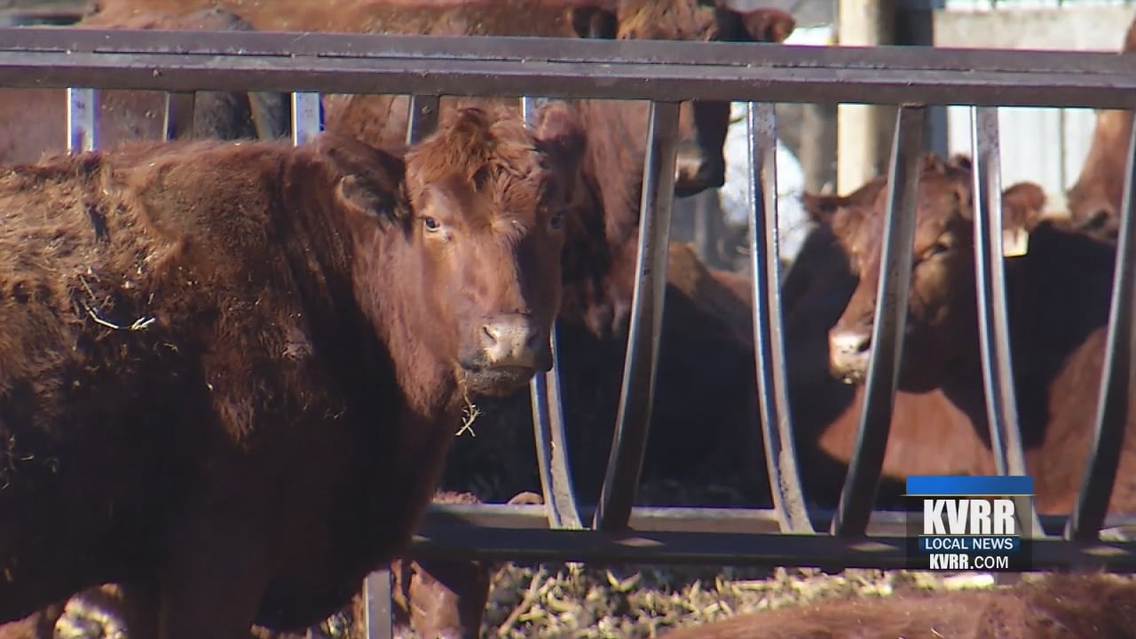 Minnesota Department Of Agriculture Gives Out Thousands In Grants For