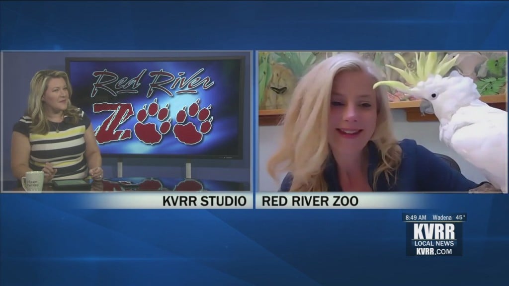 Zoo Brew