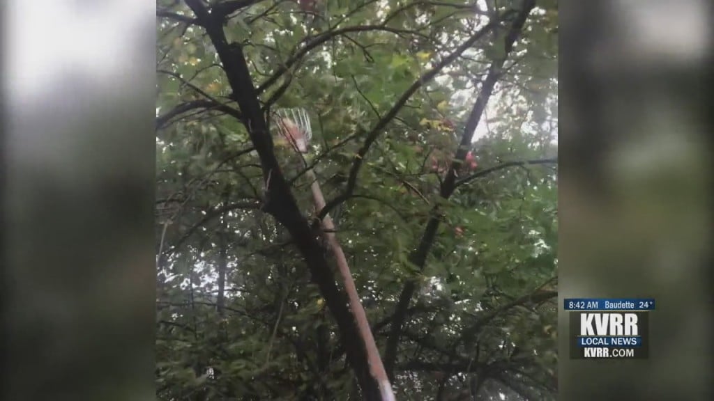 Apple Picking