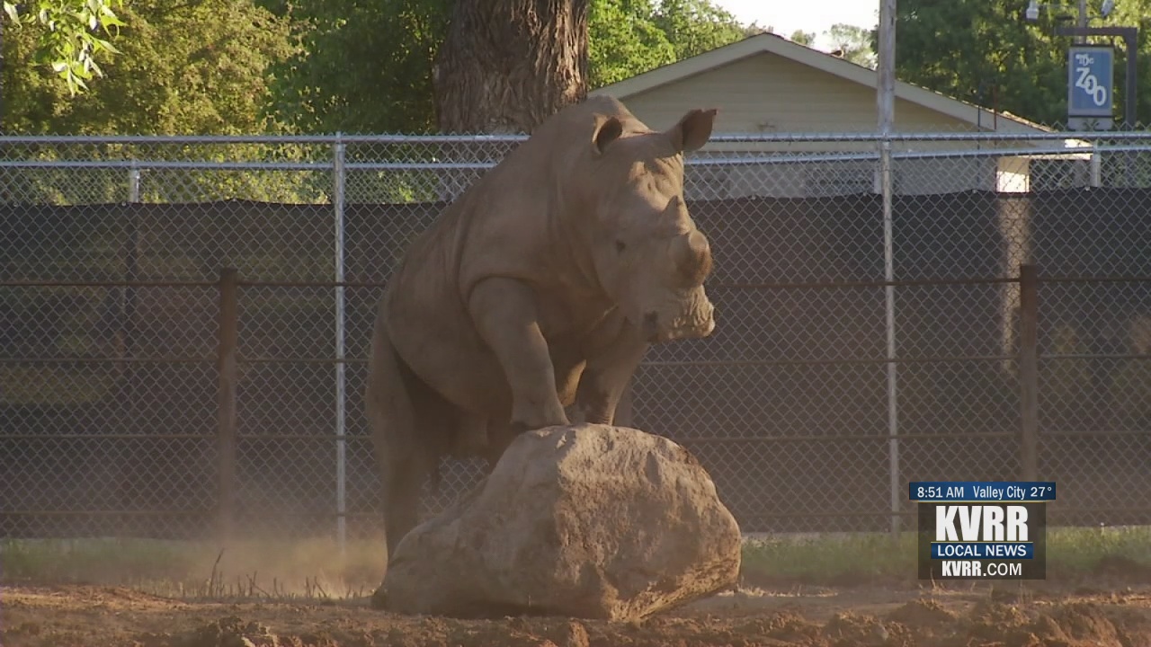 LIVE Chahinkapa Zoo Planning For New Animals KVRR Local News