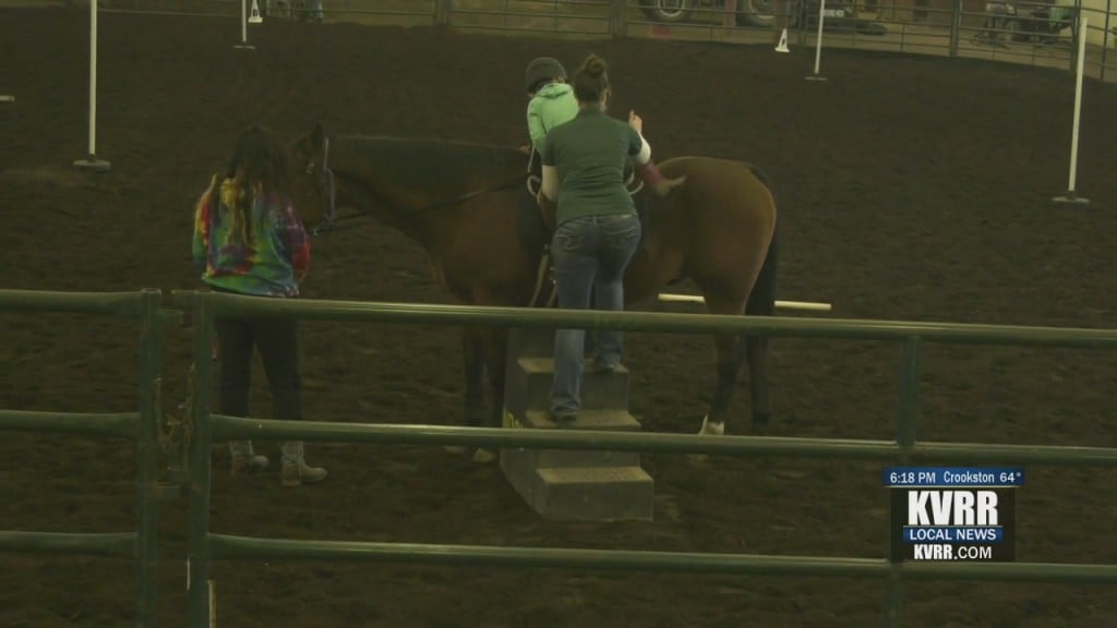 Equine Ndsu